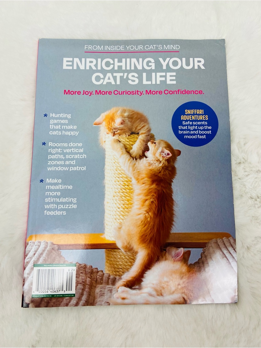 Enriching Your Cat's Life from inside your cat’s mind Pet Guide magazine